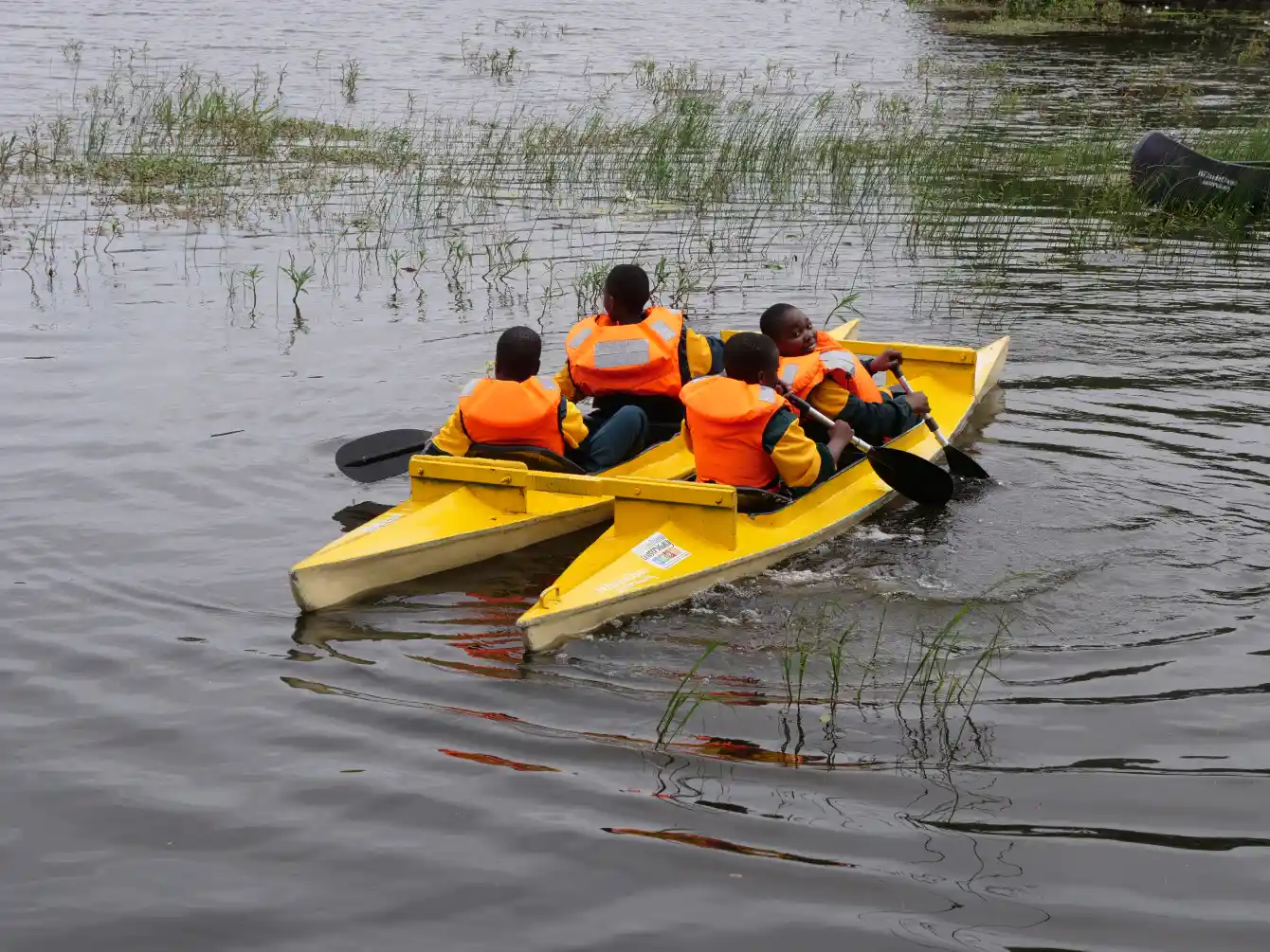 Chilling in the Waters